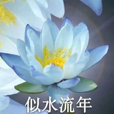发掘中国诗歌之美：《中国名诗三百首》出版